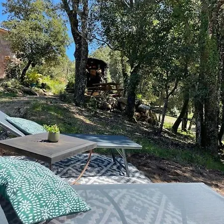 Roulotte Insolite U Tragulinu *