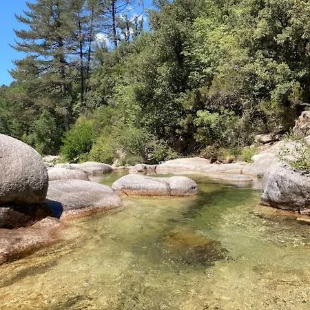 Сasa de vacaciones Roulotte Insolite U Tragulinu *