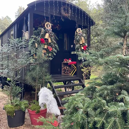 Сasa de vacaciones Roulotte Insolite U Tragulinu *