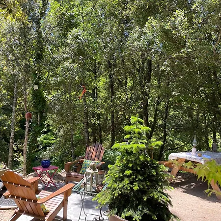 Сasa de vacaciones Roulotte Insolite U Tragulinu Zonza