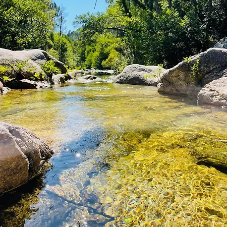 Сasa de vacaciones Roulotte Insolite U Tragulinu Zonza