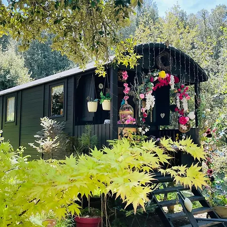 Roulotte Insolite U Tragulinu Сasa de vacaciones