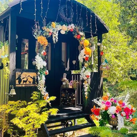 Roulotte Insolite U Tragulinu Сasa de vacaciones *