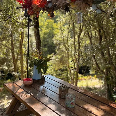 Roulotte Insolite U Tragulinu