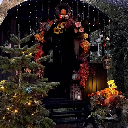 Roulotte Insolite U Tragulinu Tatil Evi