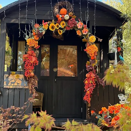 Roulotte Insolite U Tragulinu * Zonza