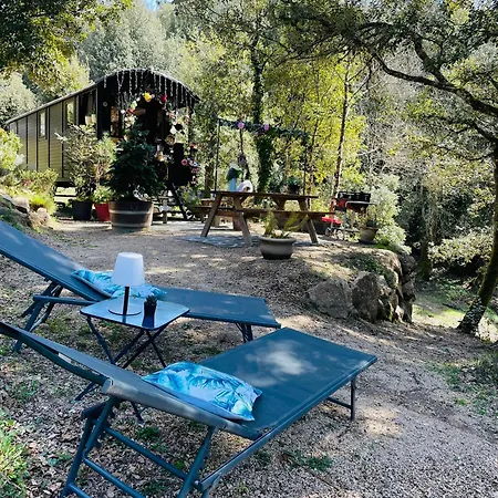 Сasa de vacaciones Roulotte Insolite U Tragulinu