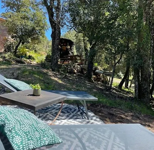 Roulotte Insolite U Tragulinu *