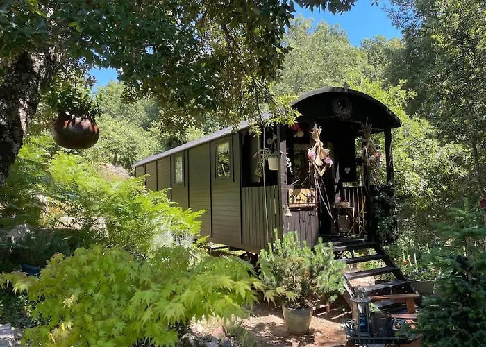 Roulotte Insolite U Tragulinu Tatil Evi