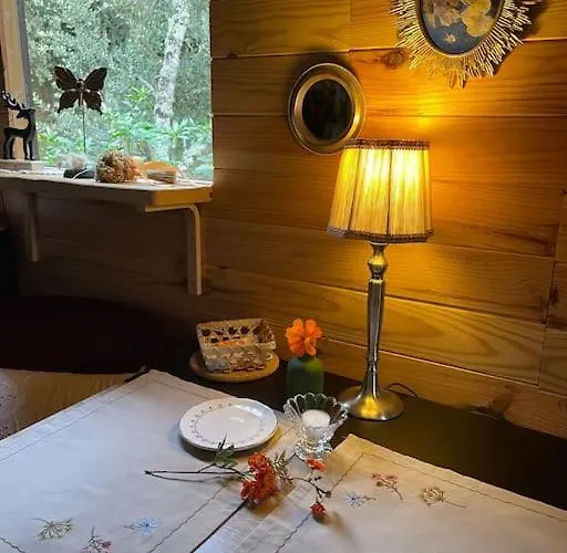 Roulotte Insolite U Tragulinu Holiday home *