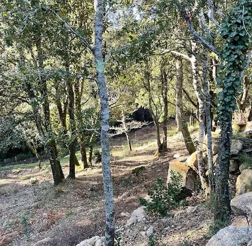 Tatil Evi Roulotte Insolite U Tragulinu *