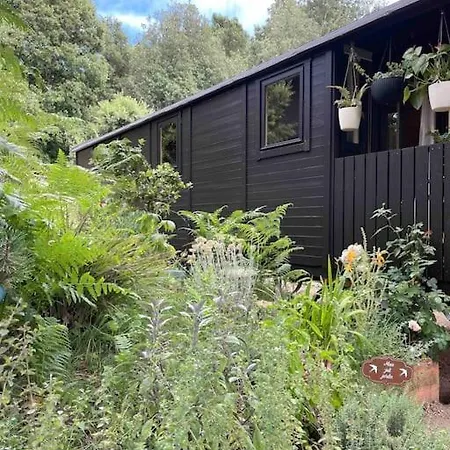Holiday home Roulotte Insolite U Tragulinu Zonza