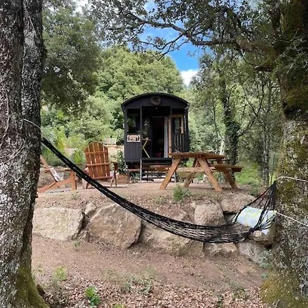 Tatil Evi Roulotte Insolite U Tragulinu *