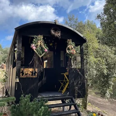 Roulotte Insolite U Tragulinu Holiday home *