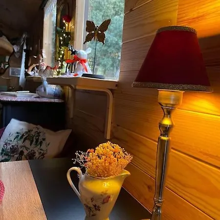 Roulotte Insolite U Tragulinu 宗扎