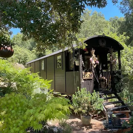 Roulotte Insolite U Tragulinu 度假居