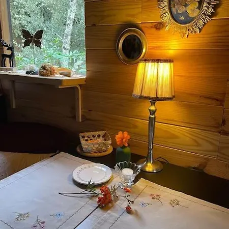 Roulotte Insolite U Tragulinu Holiday home *