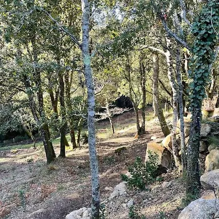 度假居 Roulotte Insolite U Tragulinu *