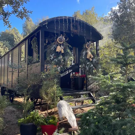 Roulotte Insolite U Tragulinu Zonza