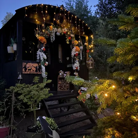 Roulotte Insolite U Tragulinu Zonza