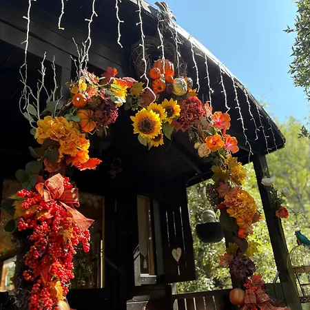 Roulotte Insolite U Tragulinu