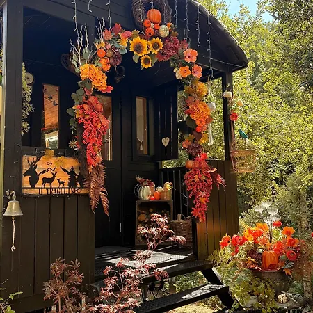 Tatil Evi Roulotte Insolite U Tragulinu