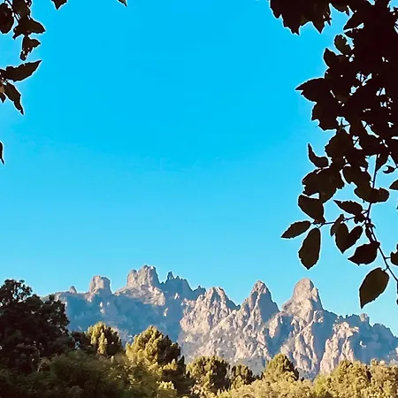 Roulotte Insolite U Tragulinu 度假居 宗扎