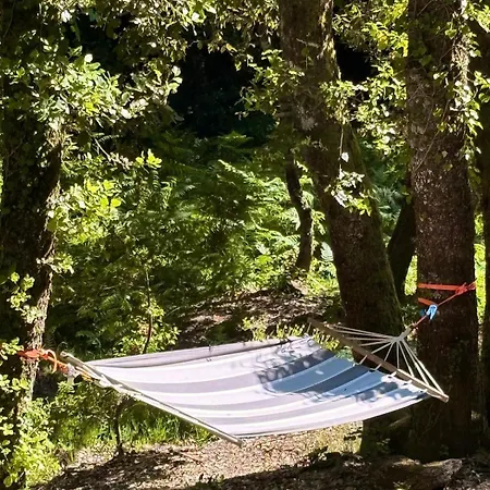 Roulotte Insolite U Tragulinu Holiday home *
