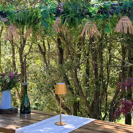 Casa vacanze Roulotte Insolite U Tragulinu
