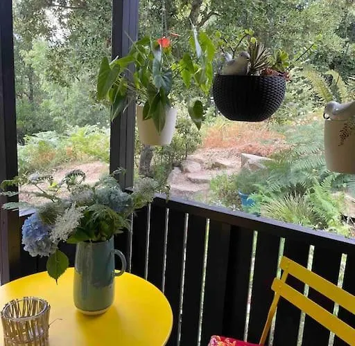 Roulotte Insolite U Tragulinu *