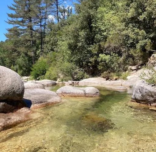 Tatil Evi Roulotte Insolite U Tragulinu *