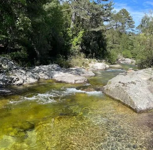 Roulotte Insolite U Tragulinu