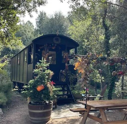 Tatil Evi Roulotte Insolite U Tragulinu