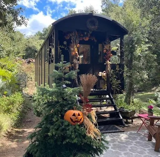 Roulotte Insolite U Tragulinu Zonza