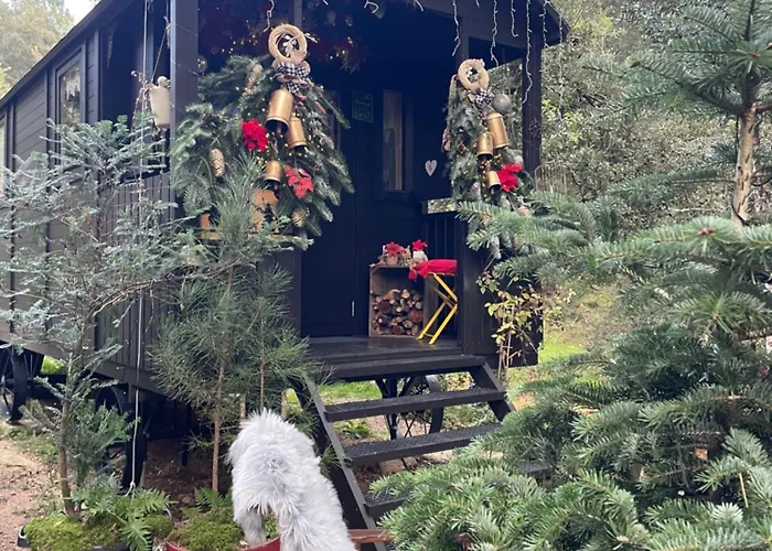 Tatil Evi Roulotte Insolite U Tragulinu *