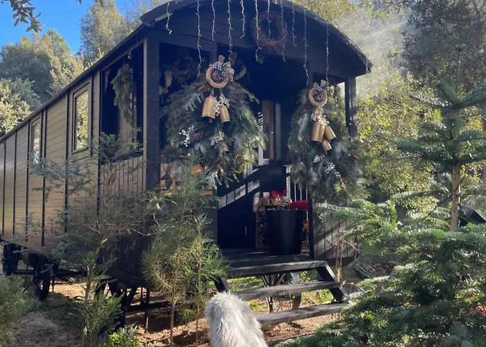 Roulotte Insolite U Tragulinu Zonza