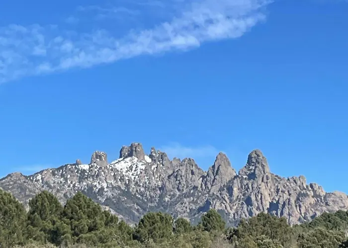 Roulotte Insolite U Tragulinu * Zonza