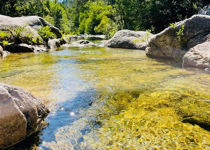 Nyaraló Roulotte Insolite U Tragulinu Zonza