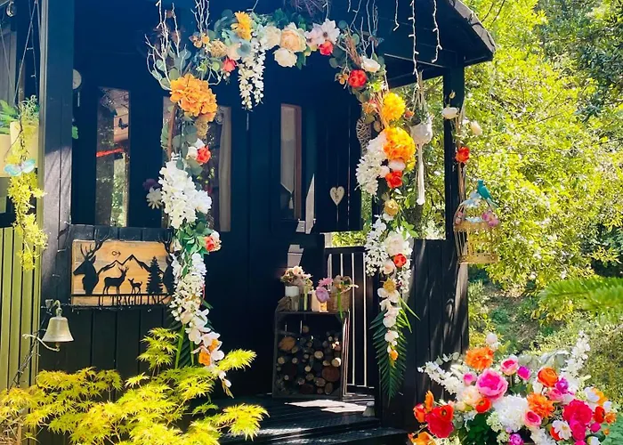 Roulotte Insolite U Tragulinu Tatil Evi *