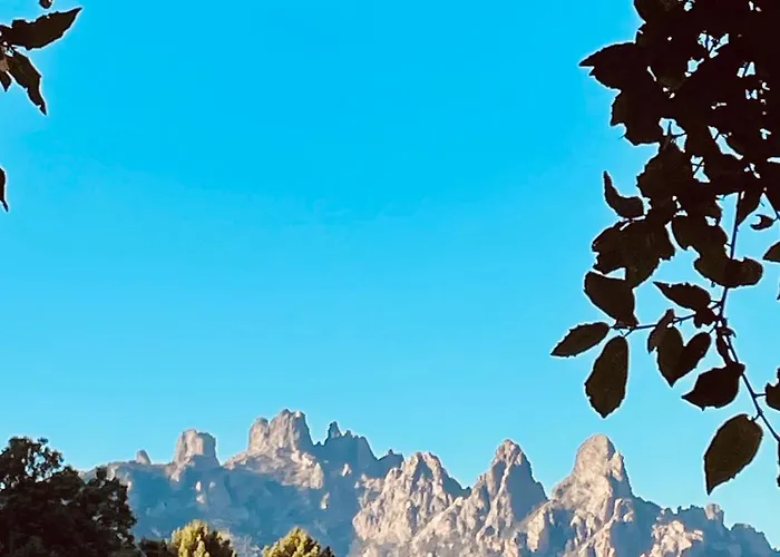 Roulotte Insolite U Tragulinu Tatil Evi Zonza